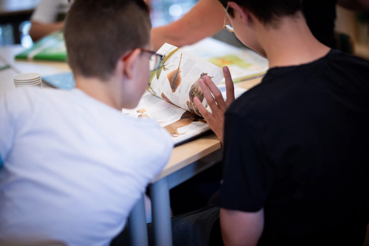 Aloysius_Molenduin_Driehuis_Opmaat_Klas_5228_BEW
